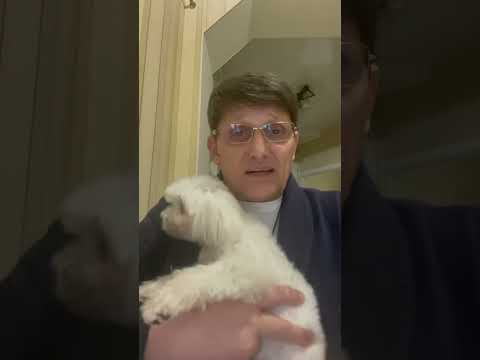 Видео: В ИК-6 Рославль опять беспредел от батвы !!!