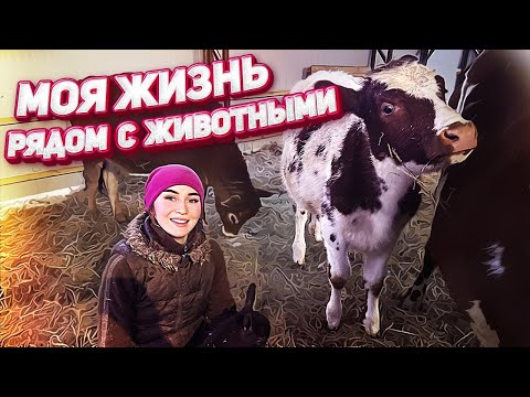 Видео: Куда столько кормов?! Приезд и помощь Главы Семейства! | Молодая Ферма