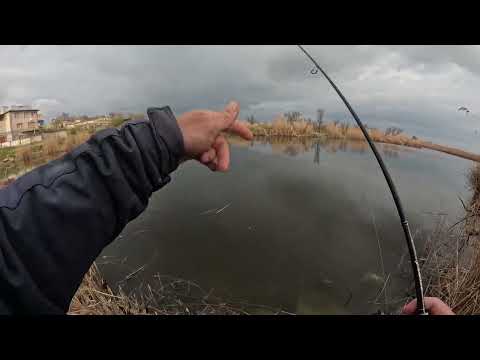 Видео: ОБРІЗАЛО ОРИГІНАЛ за всі гроші . такого більше немає