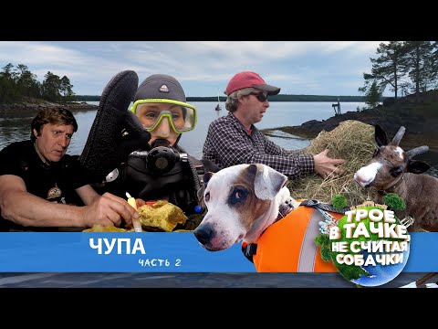 Видео: Трое в тачке, не считая собачки | Чупа, часть вторая