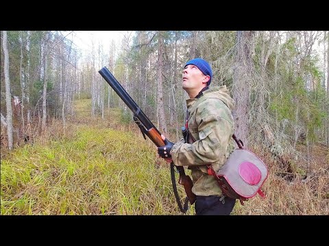 Видео: ВЕЧЕРНЯЯ ОХОТА НА РЯБЧИКА С МАНКОМ / БОРОДАТАЯ НЕЯСЫТЬ ЛЕТИТ НА МАНОК. ОХОТА В ТАЙГЕ КОМИ.