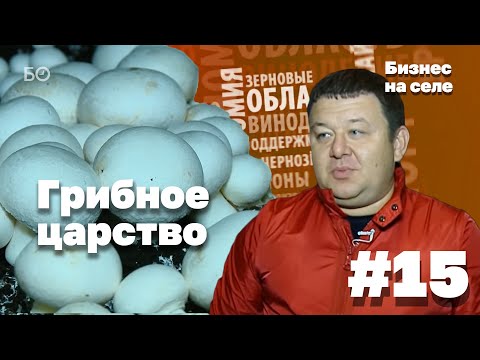 Видео: Царство грибов в Лаишевском районе | Бизнес на селе #15