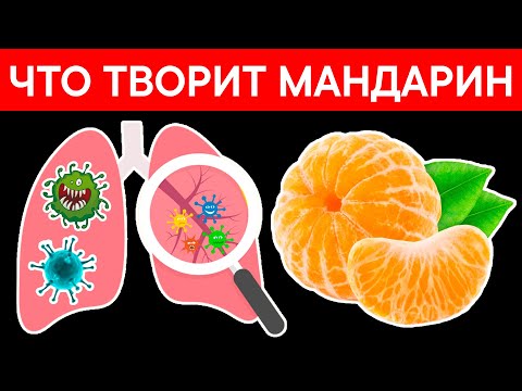 Видео: Вот почему, сейчас, все покупают МАНДАРИНЫ. Даже одна долька МАНДАРИНА избавит от...