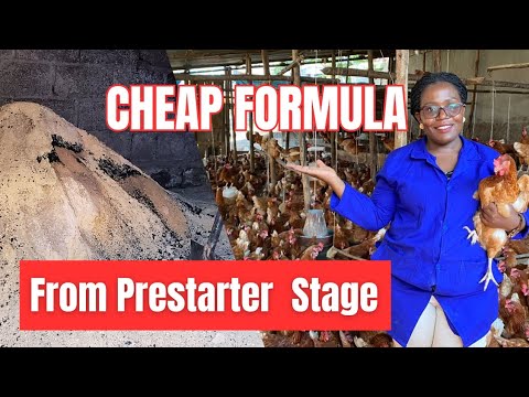 Видео: Как смешивать корма для цыплят // Все формулы кормления от престартера до стадии кладки 2. Часть 3