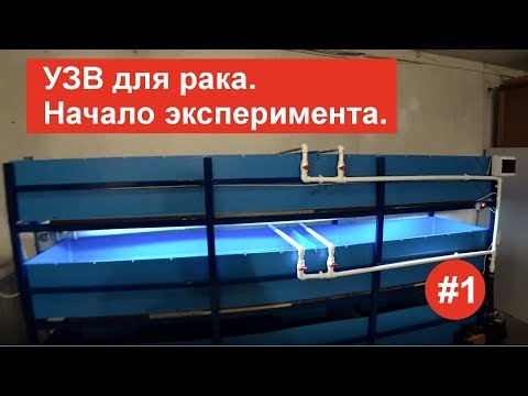 Видео: УЗВ для рака. Начало эксперимента. #1