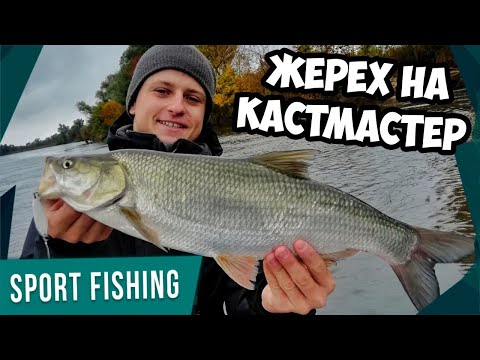 Видео: СИЛЬНЫЕ ПОКЛЁВКИ ЖЕРЕХА НА КАСТМАСТЕР! Ловля крупного жереха и судака осенью 2020!