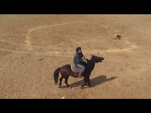 Видео: ШУР КУПКАРИ 3 КИСИМ 2014 ЙИЛ