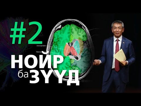 Видео: Нойр ба зүүд