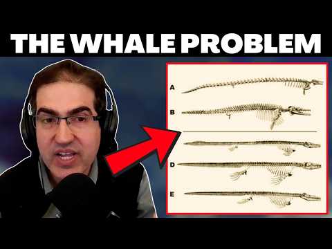 Видео: Математическая проблема, от которой эволюция не может уйти