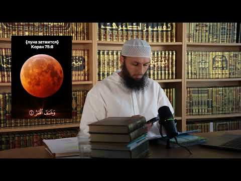 Видео: Бутт лацар (Затмение луны) 🎙️Адам Мединский