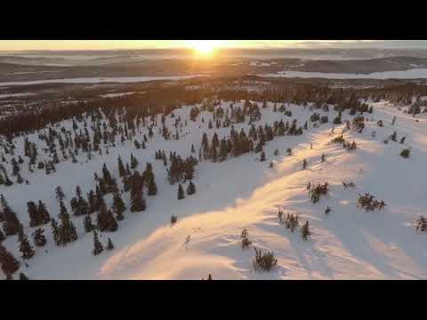 Видео: Вероника Тушнова - Гонит ветер туч лохматых клочья/Стихи о любви