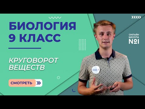 Видео: Круговорот веществ. Видеоурок 34. Биология 9 класс