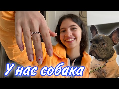 Видео: ВЛОГ У НАС СОБАКА / НАСТЯ СДЕЛАЛА НОВЫЙ МАНИКЮР 💅