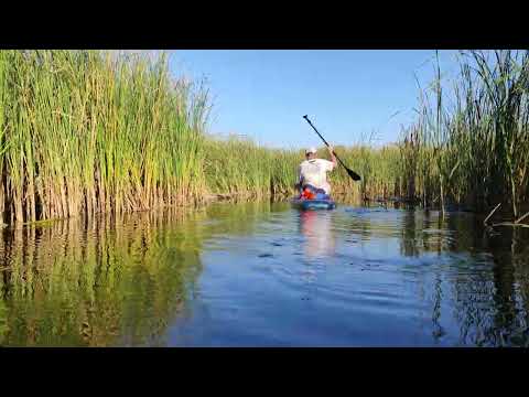 Видео: Скучный САП