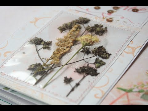 Видео: Сухоцветы: как сушить? чем клеить?