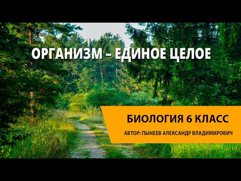 Видео: Организм – единое целое