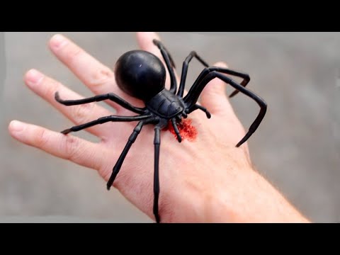 Видео: 46 САМЫХ БЕЗУМНЫХ ВЕЩЕЙ с Aliexpress, От Которых Ты Офигеешь / Вещи с Алиэкспресс + КОНКУРС