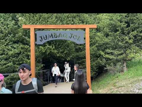 Видео: Новая прогулочная тропа Jumbaq Jol. Кафе Апа Катя после ремонта
