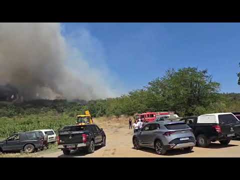 Видео: Пожар в Сунгурларе