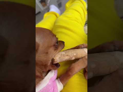 Видео: СЕРЫЙ ДЕНЬ
