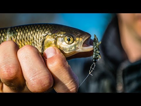 Видео: За кефал на р. Палакария