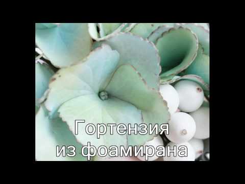Видео: Гортензия из зефирного фоамирана. Мастер-класс.