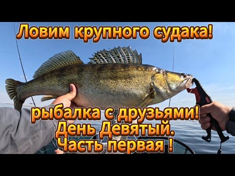 Видео: Ловим крупного судака!Рыбалка с друзьями!День Девятый.Часть первая !