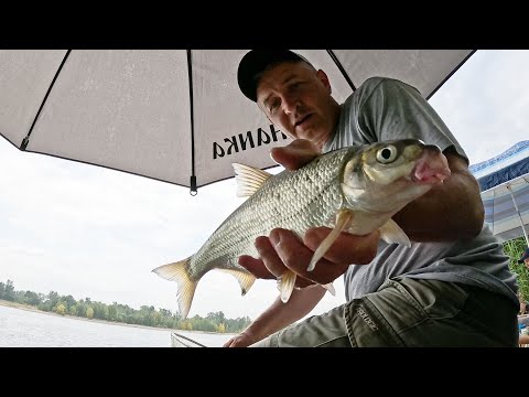 Видео: Отличная рыбалка на Дону