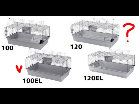 Видео: Какую клетку для морской свинки выбрать?