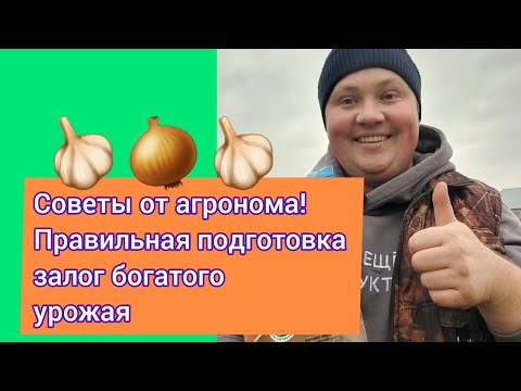 Видео: ЛУК И ЧЕСНОК ПОД ЗИМУ! Подробная инструкция в этом ролике!