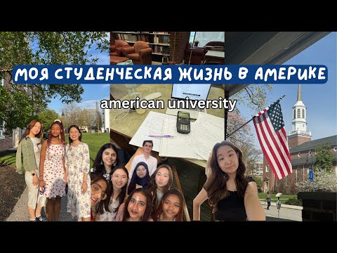 Видео: Будни Американского студента 📚🇺🇸🤓 #учебазаграницей #америка #учебавсша