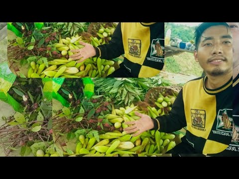 Видео: СОБИРАЙТЕ УРОЖАЙ СО МНОЙ 🧺🌽 🥬 🍍🌶️🍆🍄🌾🌿//Зимний урожай ❄️🥶