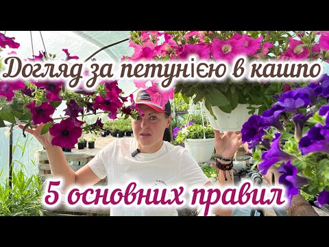 Видео: Догляд за петунією в кашпо. Основні правила