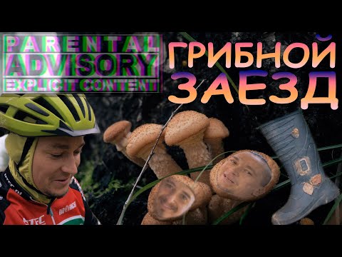 Видео: Грибной заезд в Сентябре 2020 (18+ Parental Advisory)
