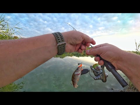 Видео: Рыбалка ГОРОДСКАЯ!  Микроджиг. Спиннинг Favorite Blue Bird Nano BB1-602N-S 1.83м 0.2-1.5г #рыбалка