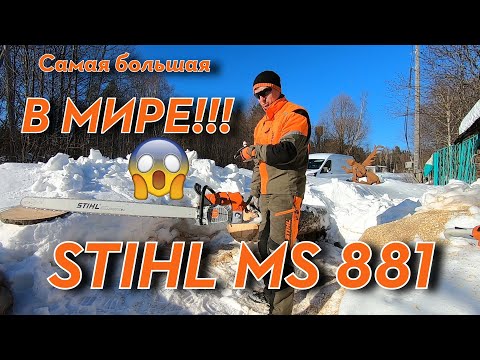 Видео: Бензопила STIHL MS 881 - гигант среди бензопил. Как такой работать - покажу и расскажу!