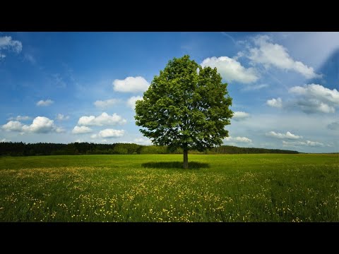 Видео: ПРАВО быть собой