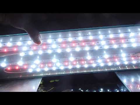 Видео: Светильник , спектр и мощность света.