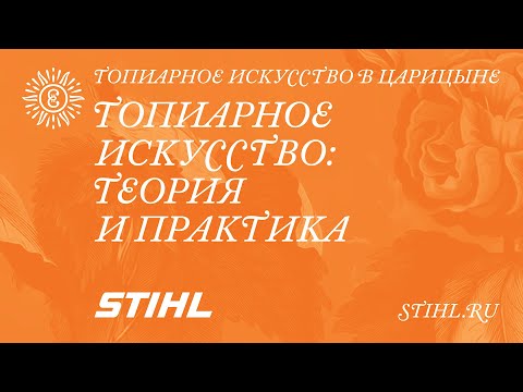 Видео: Топиарное искусство: теория и практика