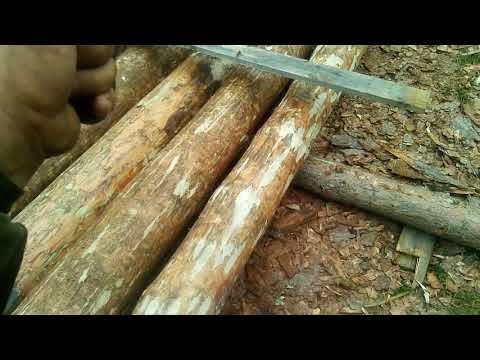 Видео: Плюсы и минусы бревна из сухостоя