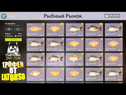 Видео: Русская рыбалка 4. 🎣 оз. Янтарное 🐳🐳🐳...💦 ТРОФЕИ от LATORSO 👀