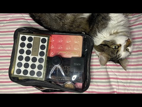 Видео: Моя коллекция теней!😻 Часть 1. 🧳