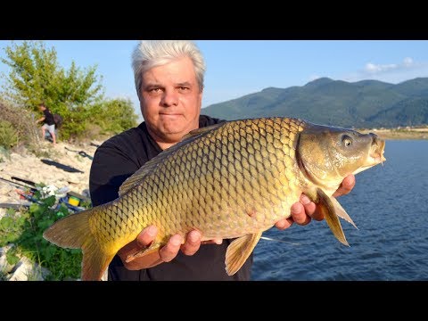 Видео: За едри риби на Тополово - част 1 / Carp and carassius pole & match fishing - part 1
