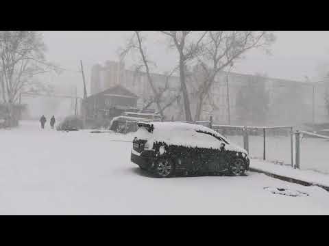 Видео: 3 ноября 2022г.  Николаевск-на-Амуре засыпало снегом. Метель! Много осадков