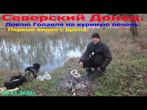 Видео: Северский Донец. Ловлю Голавля на печень. Первые видео с дрона.