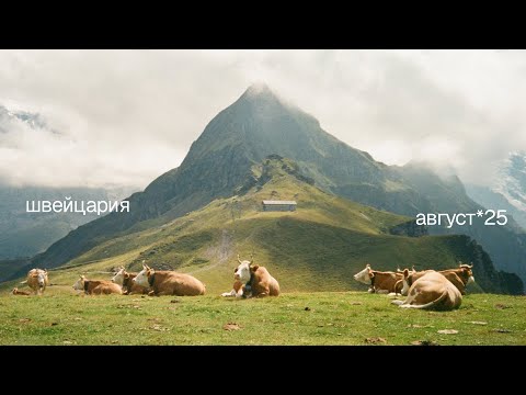 Видео: неделя в швейцарии * хайки, озера и следы динозавров