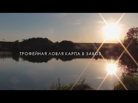 Видео: Карпфишинг: ловля карпа на бойлы в завоз с Технокарп Team.