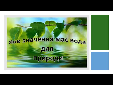 Видео: Урок 22. Яке значення має вода для природи? Я досліджую світ 3 клас