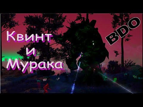 Видео: Квинт и Мурака