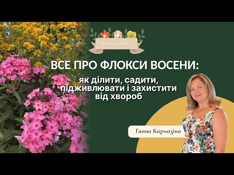 Видео: Все про флокси восени: як ділити, садити, підживлювати і захистити від хвороб